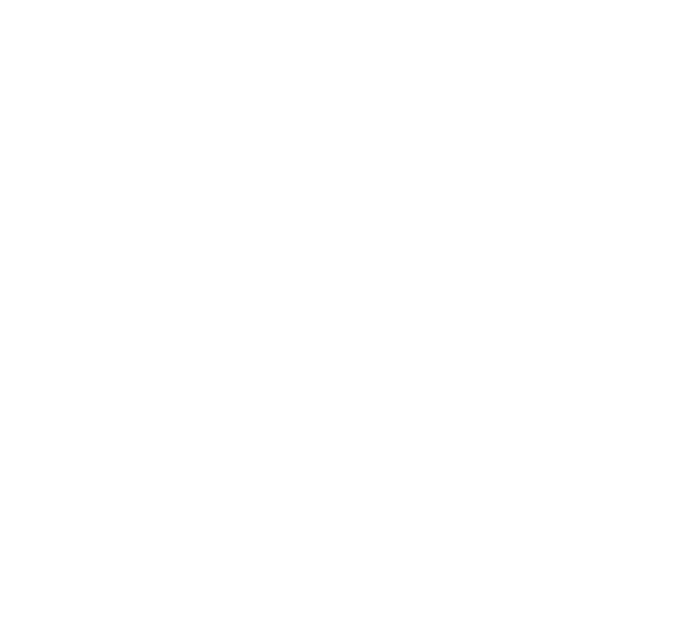 Denali Group